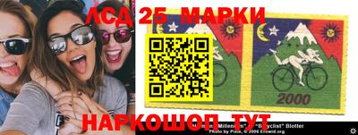 скорость Новодвинск