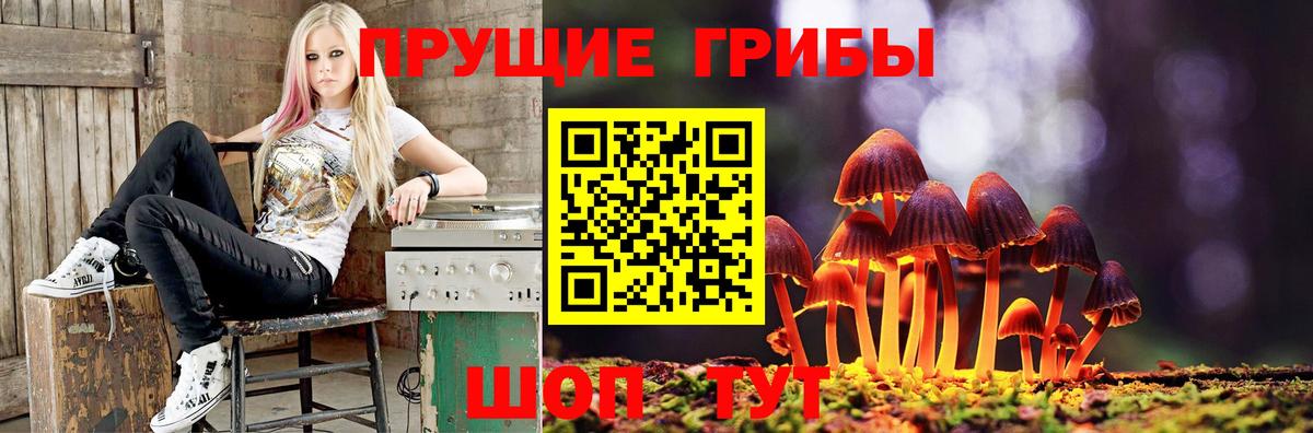закладки  Вход с VPN  Галлюциногенные грибы MAGIC MUSHROOMS  Тобольск  Псилоцибиновые грибы Psilocybe 