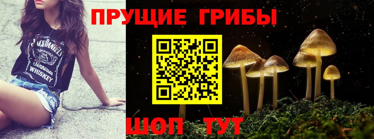 Галлюциногенные грибы мицелий Тобольск